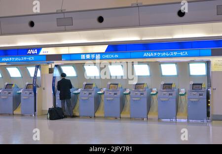 Check-in-Bereich für ANA, ANK und Sky Airlines im Inlandsterminal Tokyo Haneda JP Stockfoto