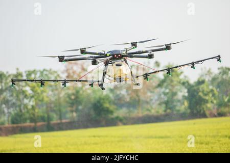 Große Drohne für die Landwirtschaft fliegt über das Reisfeld, um Chemikalien oder Dünger zu versprühen. Technologie für die Landwirtschaft Konzept Stockfoto