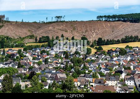 Gerodete Waldfläche nördlich des Dorfes Oeventrop, Kreis Arnsberg, wurden abgestorbene Fichtenstände gefällt, abgestorbene Bäume durch Rindenkäfer-Befall Stockfoto