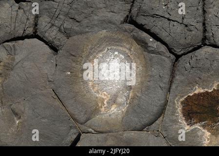 Nahaufnahme der Basaltsäulen auf der Isle of Staffa, Inner Hebrides Stockfoto