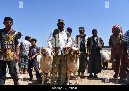 Jindres Aleppo, 6. Juli 2022, der Viehmarkt in der Stadt Jindres auf dem Land von Afrin im Nordwesten Syriens, wo sich die Muslime durch den Kauf von Opfern auf den seligen Eid al-Adha vorbereiten. Dies ist eine der Riten des Islam, in denen Muslime sich Gott nähern, indem sie Rinder von den ersten Tagen Eid al-Adhas bis zu den letzten Tagen von al-Tashreq schlachten. Stockfoto