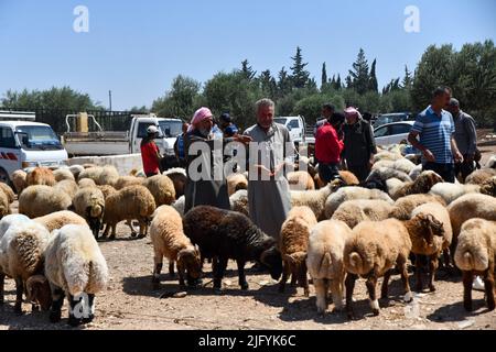 Jindres Aleppo, 6. Juli 2022, der Viehmarkt in der Stadt Jindres auf dem Land von Afrin im Nordwesten Syriens, wo sich die Muslime durch den Kauf von Opfern auf den seligen Eid al-Adha vorbereiten. Dies ist eine der Riten des Islam, in denen Muslime sich Gott nähern, indem sie Rinder von den ersten Tagen Eid al-Adhas bis zu den letzten Tagen von al-Tashreq schlachten. Stockfoto