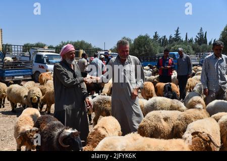 Jindres Aleppo, 6. Juli 2022, der Viehmarkt in der Stadt Jindres auf dem Land von Afrin im Nordwesten Syriens, wo sich die Muslime durch den Kauf von Opfern auf den seligen Eid al-Adha vorbereiten. Dies ist eine der Riten des Islam, in denen Muslime sich Gott nähern, indem sie Rinder von den ersten Tagen Eid al-Adhas bis zu den letzten Tagen von al-Tashreq schlachten. Stockfoto