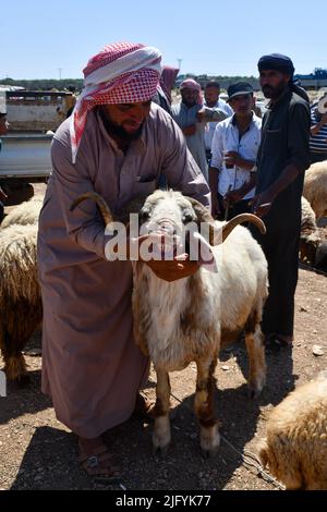 Jindres Aleppo, 6. Juli 2022, der Viehmarkt in der Stadt Jindres auf dem Land von Afrin im Nordwesten Syriens, wo sich die Muslime durch den Kauf von Opfern auf den seligen Eid al-Adha vorbereiten. Dies ist eine der Riten des Islam, in denen Muslime sich Gott nähern, indem sie Rinder von den ersten Tagen Eid al-Adhas bis zu den letzten Tagen von al-Tashreq schlachten. Stockfoto