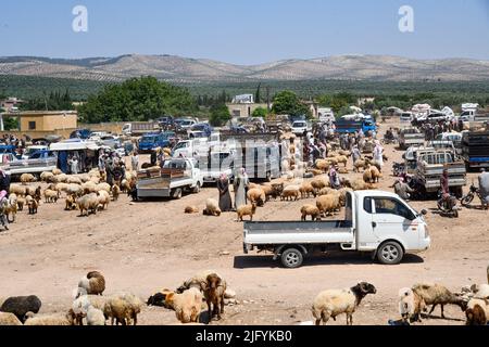 Jindres Aleppo, 6. Juli 2022, der Viehmarkt in der Stadt Jindres auf dem Land von Afrin im Nordwesten Syriens, wo sich die Muslime durch den Kauf von Opfern auf den seligen Eid al-Adha vorbereiten. Dies ist eine der Riten des Islam, in denen Muslime sich Gott nähern, indem sie Rinder von den ersten Tagen Eid al-Adhas bis zu den letzten Tagen von al-Tashreq schlachten. Stockfoto