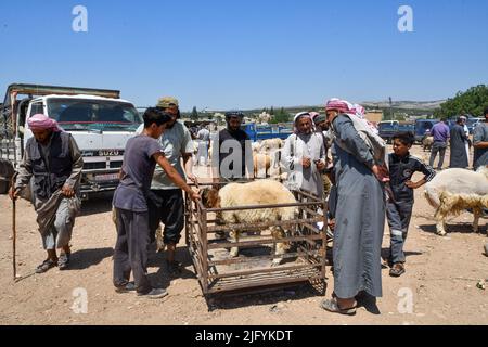 Jindres Aleppo, 6. Juli 2022, der Viehmarkt in der Stadt Jindres auf dem Land von Afrin im Nordwesten Syriens, wo sich die Muslime durch den Kauf von Opfern auf den seligen Eid al-Adha vorbereiten. Dies ist eine der Riten des Islam, in denen Muslime sich Gott nähern, indem sie Rinder von den ersten Tagen Eid al-Adhas bis zu den letzten Tagen von al-Tashreq schlachten. Stockfoto