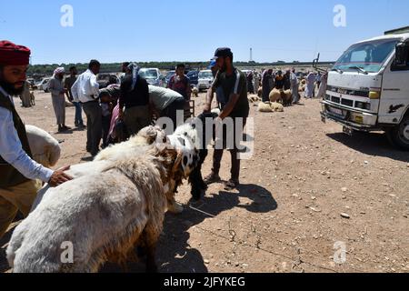 Jindres Aleppo, 6. Juli 2022, der Viehmarkt in der Stadt Jindres auf dem Land von Afrin im Nordwesten Syriens, wo sich die Muslime durch den Kauf von Opfern auf den seligen Eid al-Adha vorbereiten. Dies ist eine der Riten des Islam, in denen Muslime sich Gott nähern, indem sie Rinder von den ersten Tagen Eid al-Adhas bis zu den letzten Tagen von al-Tashreq schlachten. Stockfoto