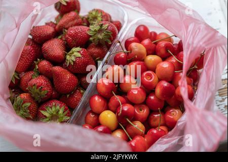 Reife Erdbeeren und süße Kirschen in einem rosa Plastikbeutel. Neue Ernte von roten Beeren in klaren Schalen. Gesunde Ernährung. Selektiver Fokus. Stockfoto