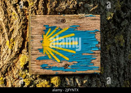 Holzschild mit alter Wegmarkierung des Jakobsweges bei Höxter, Deutschland, die blau-gelbe Farbe der Jakobsmuschel blättert ab Stockfoto