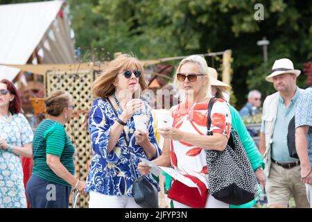 Menschen genießen das RHS Hampton Court Flower Festival Stockfoto