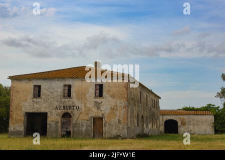 Altes verlassene Bauernhaus in der toskanischen Landschaft in der Nähe von Bolgheri, Italien. Ruine mit Lager und Scheune Stockfoto