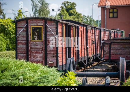 Eine vertikale Aufnahme eines von Bäumen umgebenen Schmalspurzuges im Schmalspurbahn-Museum, Wenecja, Polen Stockfoto