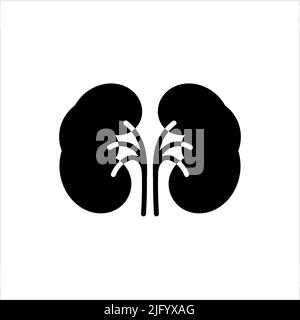 Nierensymbol, Bohnenförmige Organe Menschliche Niere Vektor-Kunst Illustration Stock Vektor