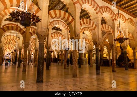 Säulen und zweistufige Bögen, große Moschee (Mezquita) und Kathedrale von Cordoba, UNESCO-Weltkulturerbe, Cordoba, Andalusien, Spanien, Europa Stockfoto