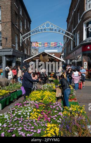 Blumen am Eingang zum Shambles Market, York, North Yorkshire, England, Vereinigtes Königreich, Europa Stockfoto