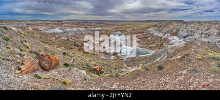 Blick auf den Jasper Forest von der Südseite des Agate Plateau, Petrified Forest National Park, Arizona, Vereinigte Staaten von Amerika, Nordamerika Stockfoto