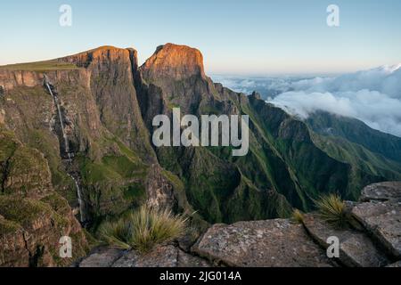 Morgenlicht im Amphitheater, Drakensberg Mountains, Royal Natal National Park, KwaZulu-Natal Province, Südafrika, Afrika Stockfoto