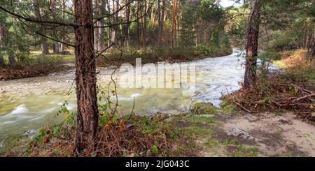 Eresma River, Scot Pine Forest, Guadarrama Nationalpark, Segovia, Kastilien und Leon, Spanien, Europa Stockfoto