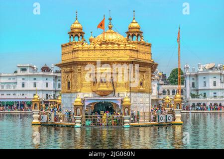 Amritsar ,8, April: 2014, Reflexion des goldenen Tempelkomplexes mit eifrigen Anhängern im Heiligen Teich, Amritsar, Punjab, Indien Stockfoto