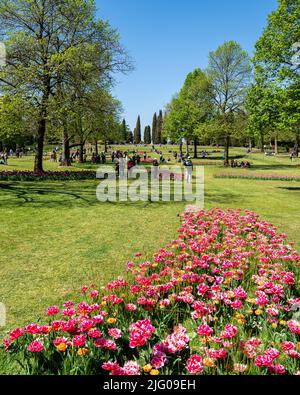 Valleggio sul Mincio, Italien, Apr. 2022 - farbenfrohe Tulpen blühen im Parco Sigurtà Stockfoto