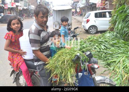 Lahore, Punjab, Pakistan. 6.. Juli 2022. Pakistani sind damit beschäftigt, im Vorfeld des bevorstehenden muslimischen Festivals von Eid al-Adha in Lahore Opfertierfutter von Ladenbesitzern zu kaufen. Eid al-Adha, der wichtigste islamische Feiertag für Muslime weltweit, wird „Eid ul-Adha“ feiern, auch bekannt als das Opferfest (Qurbani), um den islamischen Monat Zil Hijjah zu begehen, in dem Schafe, Ziegen, Kühe und Kamele geschlachtet werden, um der Bereitschaft des Propheten Abraham zu gedenken, seinen Sohn Ismail auf Gottes Befehl zu opfern. (Bild: © Rana Sajid Hussain/Pacific Press via ZUMA Press Wire) Stockfoto