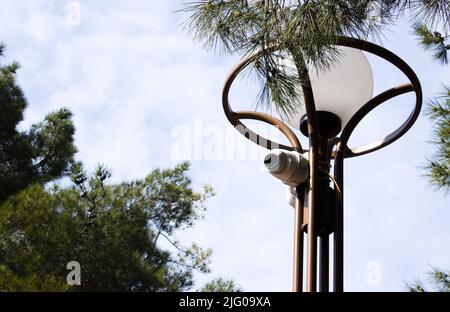 Eine Straßenlampe mit zwei Videoüberwachungskameras, die vor dem Hintergrund von Baum und Himmel installiert sind Stockfoto