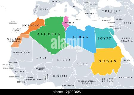 Nordafrika, Subregion, politische Landkarte mit einzelnen Ländern und internationalen Grenzen. Gruppe von Mittelmeerländern auf dem afrikanischen Kontinent. Stockfoto