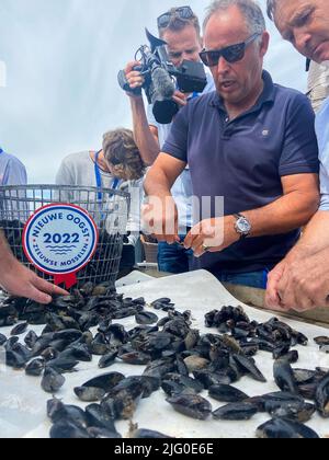 Die Abbildung zeigt den Beginn der Muschelsaison in Yerseke, Niederlande, Mittwoch, 06. Juli 2022. BELGA FOTO MAARTEN WEYNANTS Stockfoto