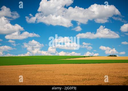 Green Field und blauer Himmel mit Wolken Stockfoto