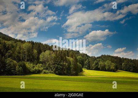 DE - BAVARIA: Wiese unterhalb des Blombergs am Wackersberg bei Bad Tölz, Oberbayern Stockfoto