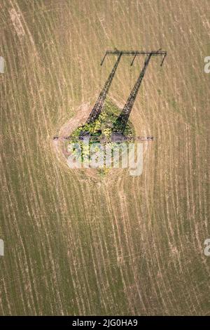 Powerline-Getriebe allein auf dem gemähten Feld Stockfoto