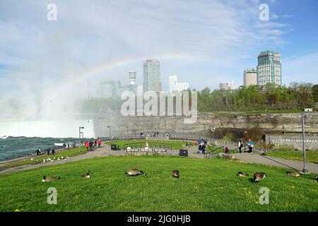 rainbow, Niagara Falls, les chutes du Niagara, Kanada, USA, Ontario provance, Bundesstaat New York, Nordamerika, Niagara-vízesés Stockfoto