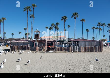 Die Strandseite des historischen Dory-Fischmarkts auf der Balboa Peninsula Newport Beach, CA USA Stockfoto