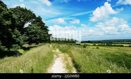 Fußweg, der einen alten Wall auf einem Hügel aus der Eiszeit in Badbury Rings, Dorset, Großbritannien, durchquert - John Gollop Stockfoto