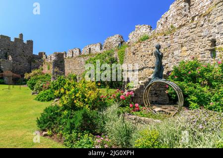 Die farbenfrohe Bepflanzung im Inneren der historischen Manorbier Castle Walls aus dem 12.. Jahrhundert in Pembrokeshire, Wales, Großbritannien Stockfoto