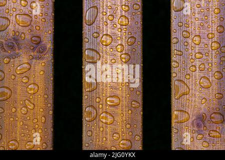 Horizontaler Hintergrund aus lackiertem verbranntem Holz mit glänzenden Wassertropfen aus dem Regen, nassen Holzplanken Stockfoto