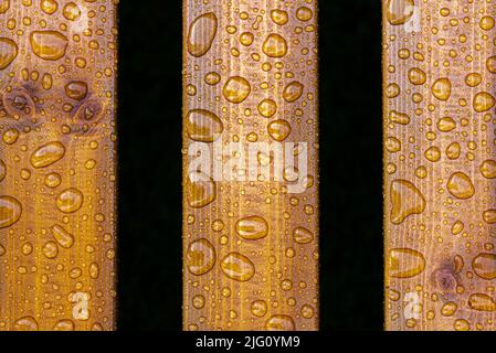 Horizontaler Hintergrund aus lackiertem verbranntem Holz mit glänzenden Wassertropfen aus dem Regen, nassen Holzplanken Stockfoto