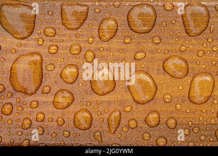 Horizontaler Hintergrund aus lackiertem verbranntem Holz mit glänzenden Wassertropfen aus dem Regen, nassen Holzplanken Stockfoto