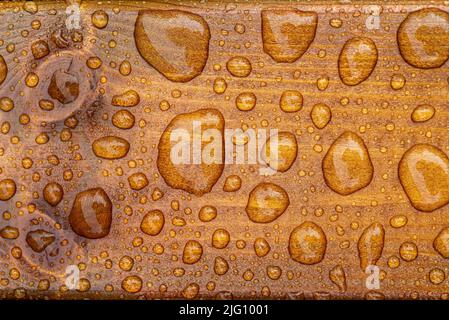 Horizontaler Hintergrund aus lackiertem verbranntem Holz mit glänzenden Wassertropfen aus dem Regen, nassen Holzplanken Stockfoto