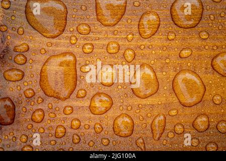 Horizontaler Hintergrund aus lackiertem verbranntem Holz mit glänzenden Wassertropfen aus dem Regen, nassen Holzplanken Stockfoto