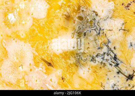 Käse mit Schimmel. Ein großes Stück Käse mit Löchern, das lange Zeit verdorben und mit Schimmel bedeckt war. Wunderschöne Aussicht auf verdorbenes Essen. Gelber Schimmel Stockfoto