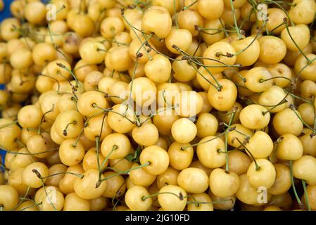Yellow cherry fruits. Delicious and sweet yellow cherries variety  Stockfoto