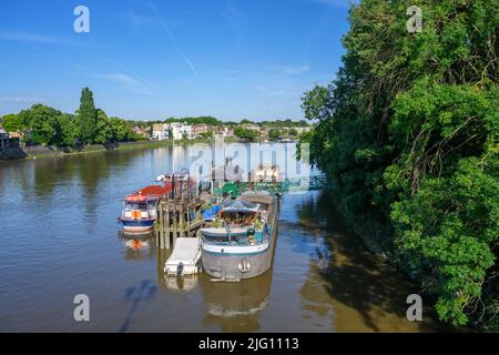 Die Themse von der Kew Bridge in Richtung Chiswick, London, England, Großbritannien Stockfoto