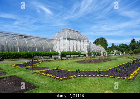 Palm House, Kew Gardens, Richmond, London, England, VEREINIGTES KÖNIGREICH Stockfoto