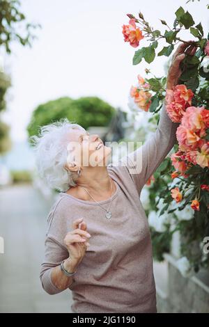 Ältere Frau bewundert schöne Sträucher mit bunten Rosen Stockfoto