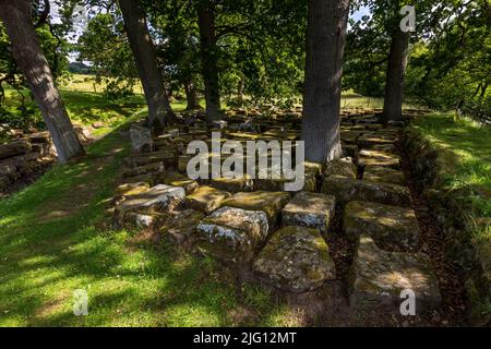 Steinblöcke von der römischen Brücke am Ostufer des North Tyne River, Chesters Roman Fort, Northumberland, England Stockfoto