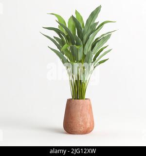 3D Abbildung einer Zimmerpflanze in Terrazzo auf weißem Hintergrund Stockfoto