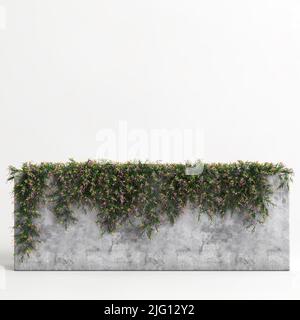 3D Darstellung einer Pflanze in Konrete auf weißem Hintergrund Stockfoto