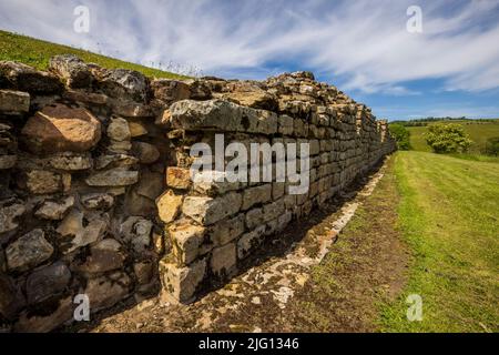 Die Überreste der Ostwand des Vindolanda Roman Fort, Northhumberland, England Stockfoto