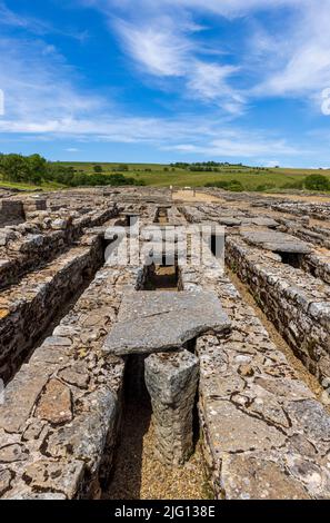 Der hängende Boden des Getreidespeicherkaals in Vindolanda Roman Fort, Northumberland, England Stockfoto